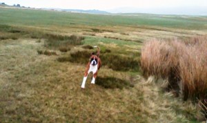 Suki's mum running over Yorkshire moors a few weeks ago